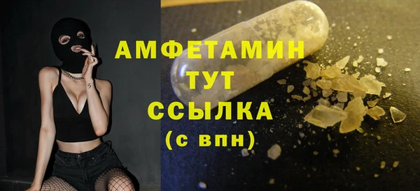 гидра Инсар