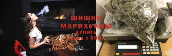 гидра Инсар