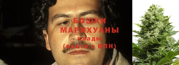 гидра Инсар