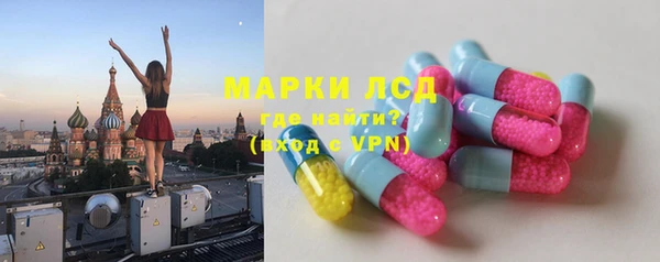 гидра Инсар
