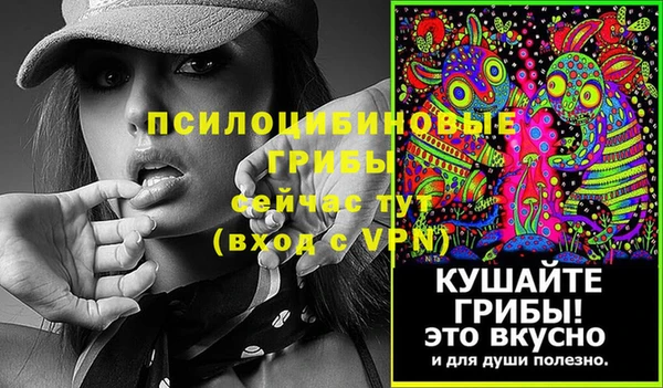 гидра Инсар