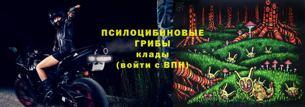 гидра Инсар