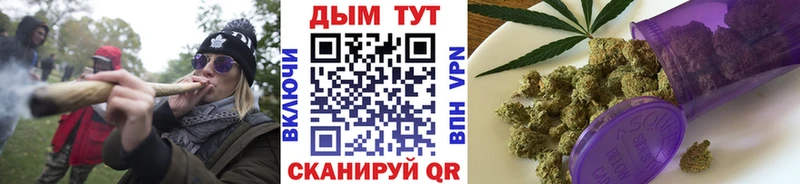 Бошки марихуана конопля Купить где Щучье